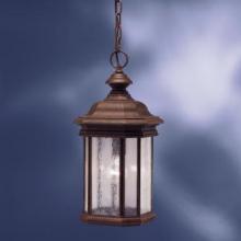 Kichler 9810TZ - Outdoor Pendant 1Lt