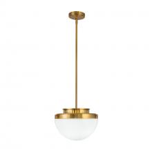 Artcraft AC12010BR - Pendant