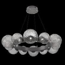 Hammerton CHB0092-39-GP-S-CA1-L3 - Gaia Radial Ring - 39-Inch