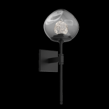 Hammerton IDB0095-03-MB-FS-L3 - Luna Belvedere Sconce