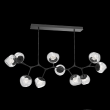 Hammerton PLB0095-BC-MB-ZC-001-L1 - Luna Modern Branch - 10pc