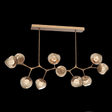 Hammerton PLB0095-BC-NB-FB-001-L3 - Luna Modern Branch - 10pc