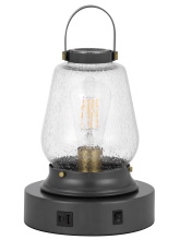 CAL Lighting BO-3218AC - 60W Terni accent lamp wt bubbled glass & rocker switch. Equipped wt 1 USB, 1 USB-C charging ports