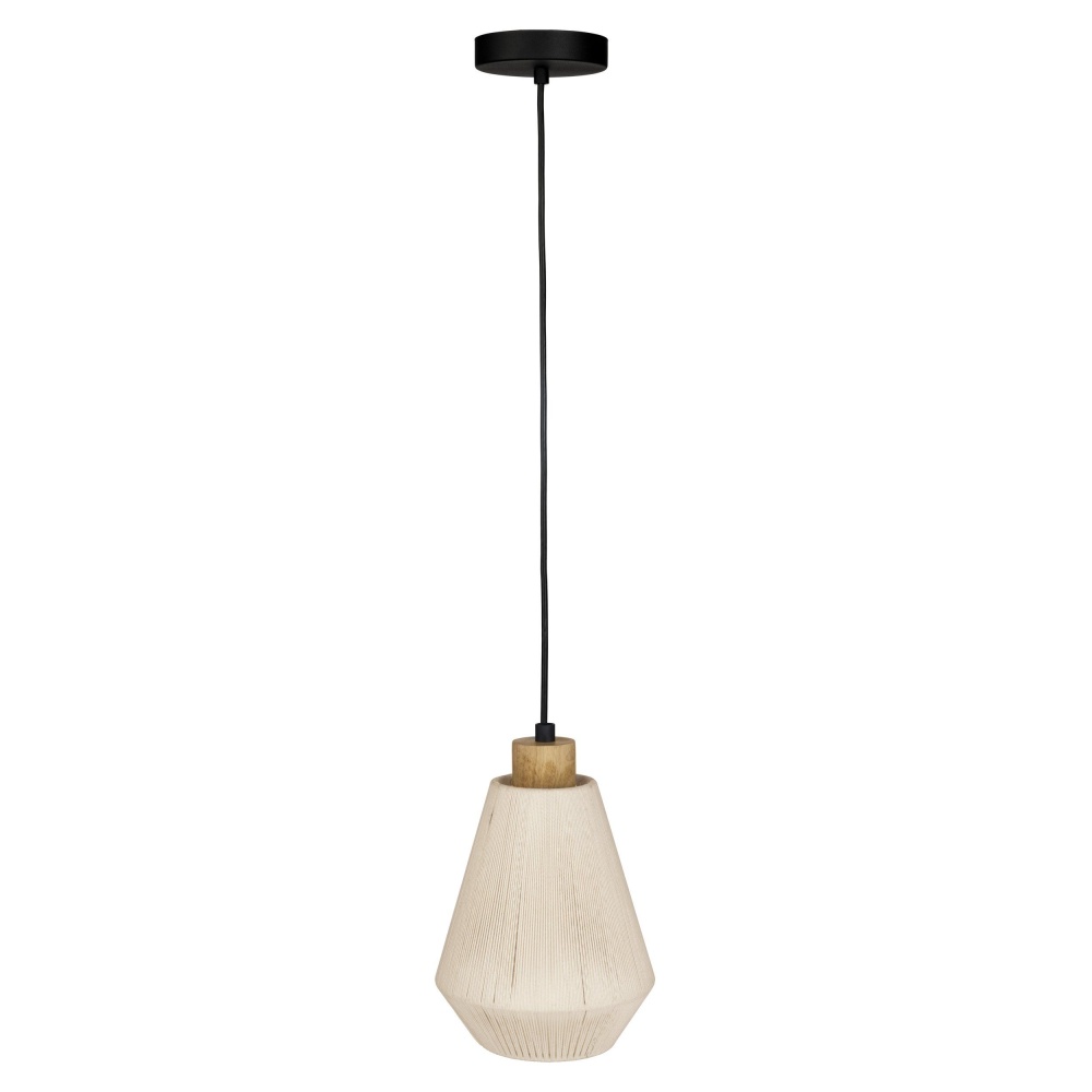 1L Pendant Light