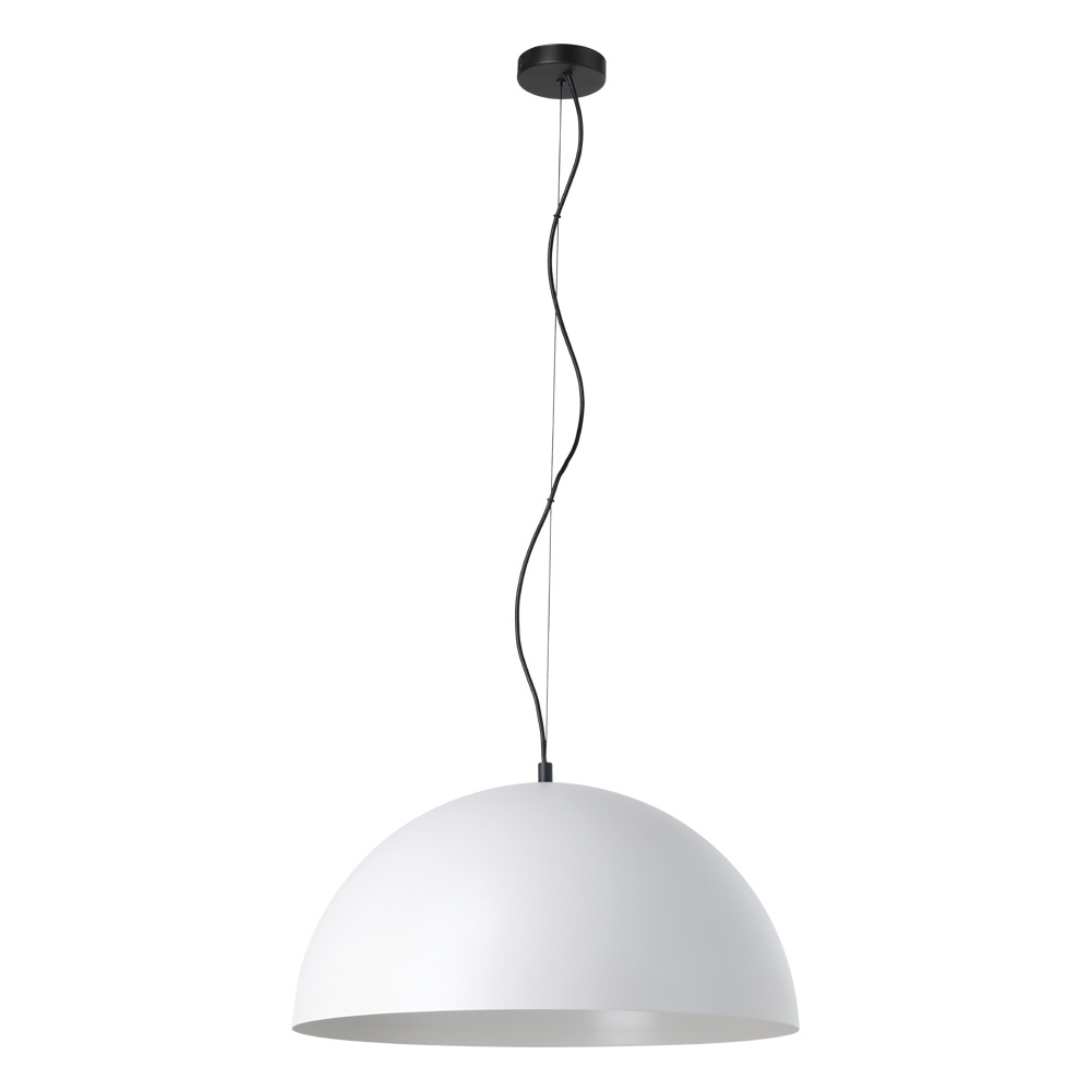 1L Pendant Light