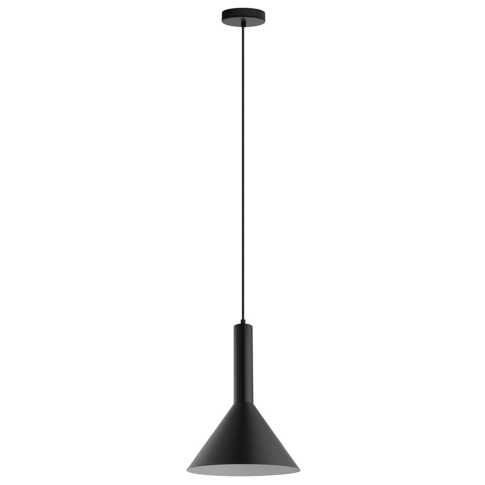 1L Pendant Light