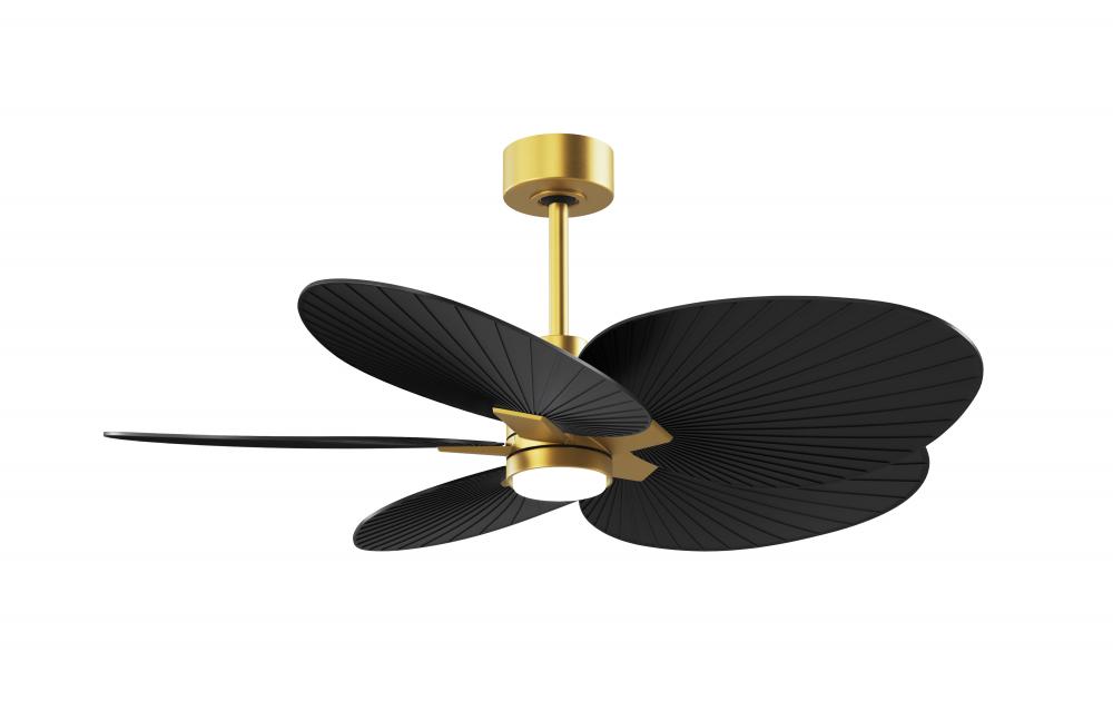 Alessandra Tropical-Five Blade Ceiling Fan-5CCT Integrated LED-Brushed Brass Finish