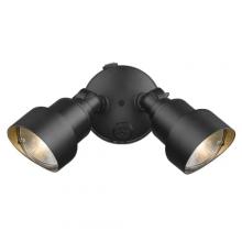 Acclaim Lighting LFL2BK - LED Flood Lights 2-Light Black