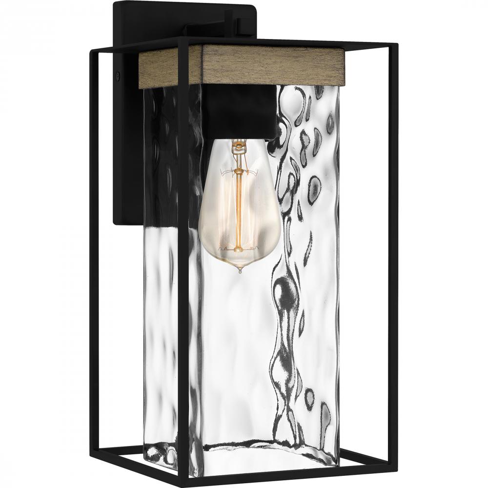 Longwood 1-Light Matte Black Outdoor Wall Lantern
