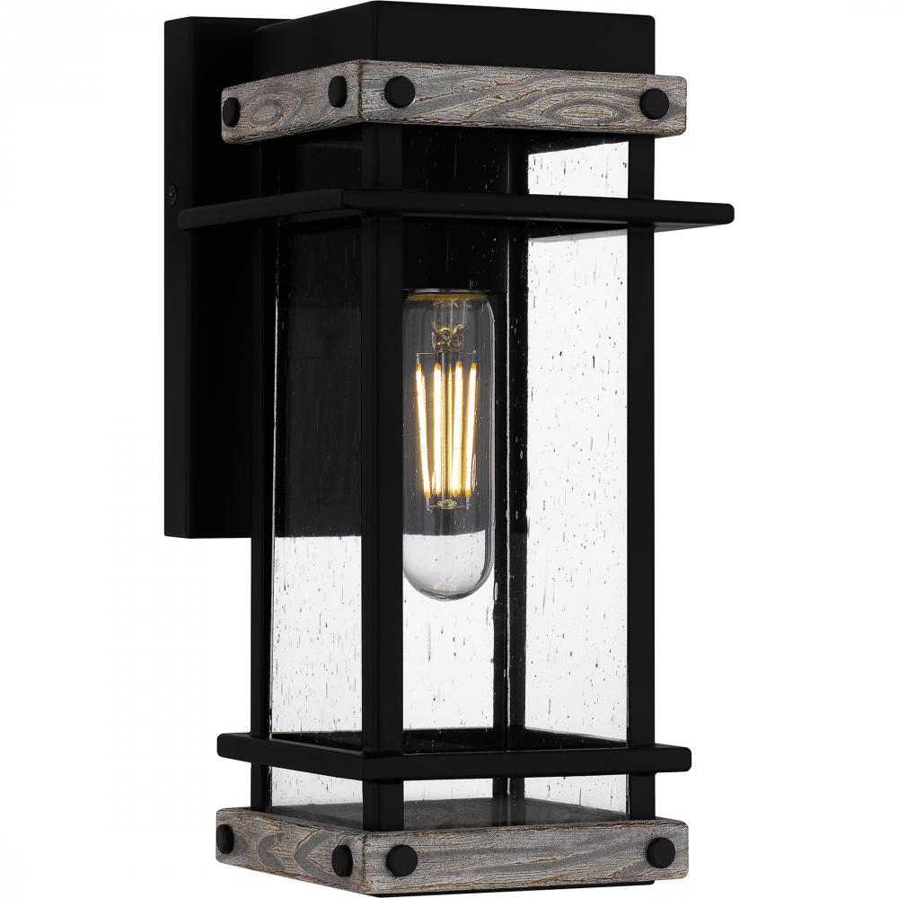 Strader 1-Light Matte Black Outdoor Wall Lantern