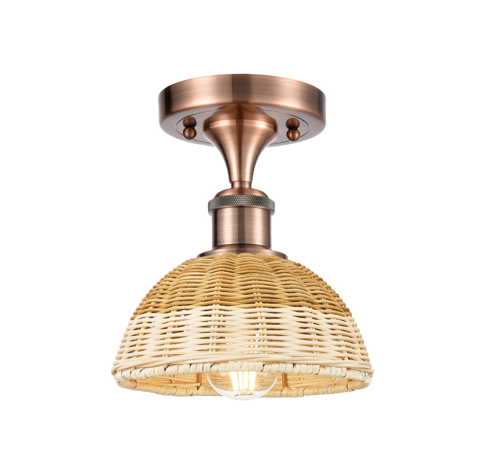 Bristol Natural II - 1 Light - 8 inch - Antique Copper - Semi-Flush Mount