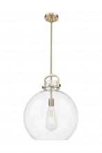 Innovations Lighting 410-1SL-CB-G410-16CL - Newton Sphere - 1 Light - 16 inch - Champagne Bronze - Pendant