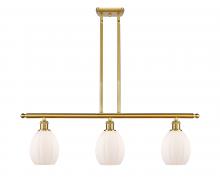 Innovations Lighting 516-3I-SG-G81 - Eaton - 3 Light - 36 inch - Satin Gold - Cord hung - Island Light