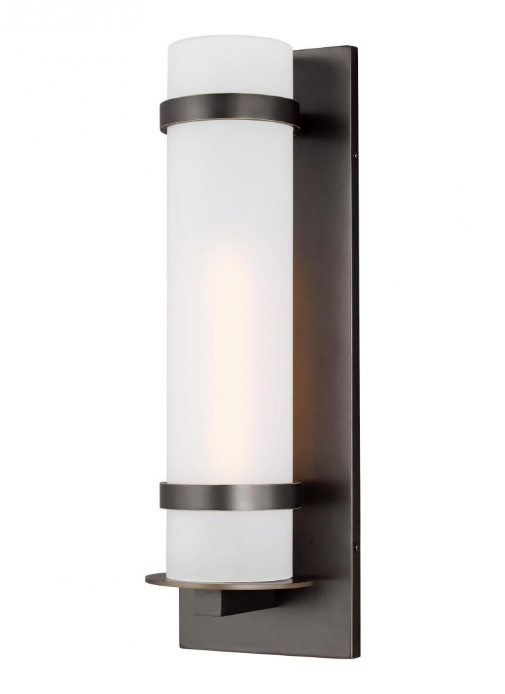 Alban Large One Light Outdoor Wall Lantern