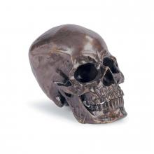 Regina Andrew 20-1034BZ - Regina Andrew Metal Skull (Antique Bronze); Dimensions 5W x 6.25H x 8.5D