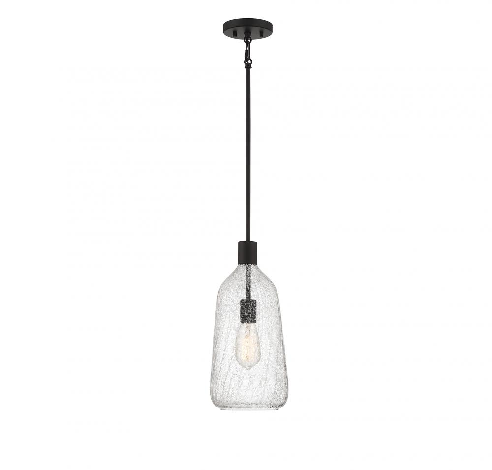 Adair 1-Light Pendant in Matte Black