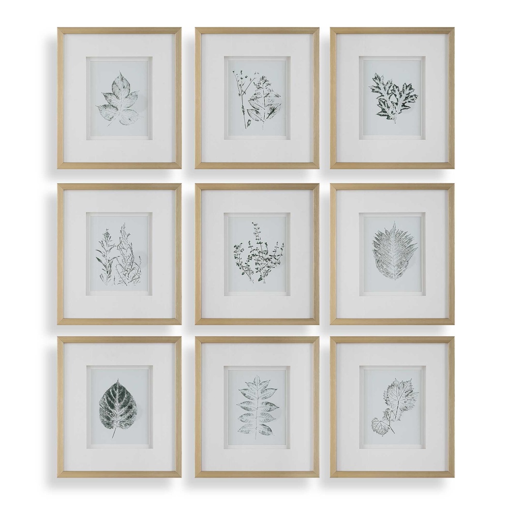 Uttermost Nature's Script Framed Botanical Prints Set/9