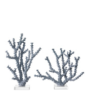Currey 1200-0797 - Blue Coral Set of 2